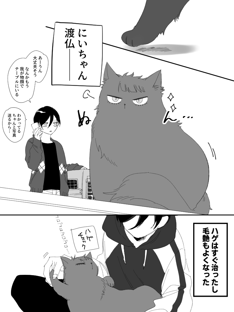 🐱にいちゃ、渡仏ーーーーー!!!!!(sern) 
