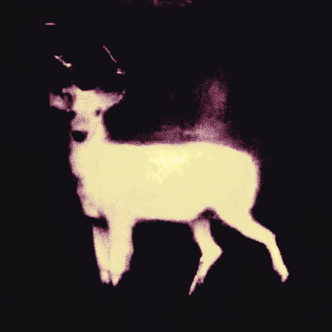 funerilent's tweet photo. https://t.co/ATU03wvqMu