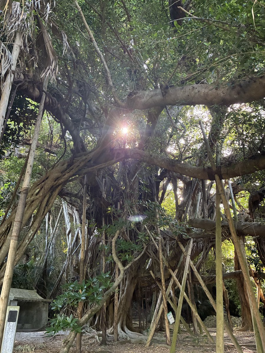 Another Mind tweet media