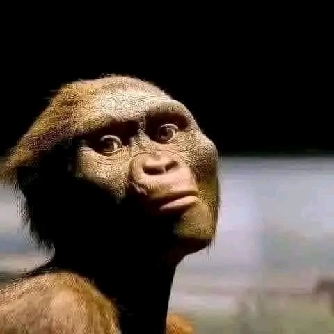 boots_prince's tweet photo. @PoloB101 At least wena you have proof ngeke uboshwe https://t.co/44npMD7Q4u