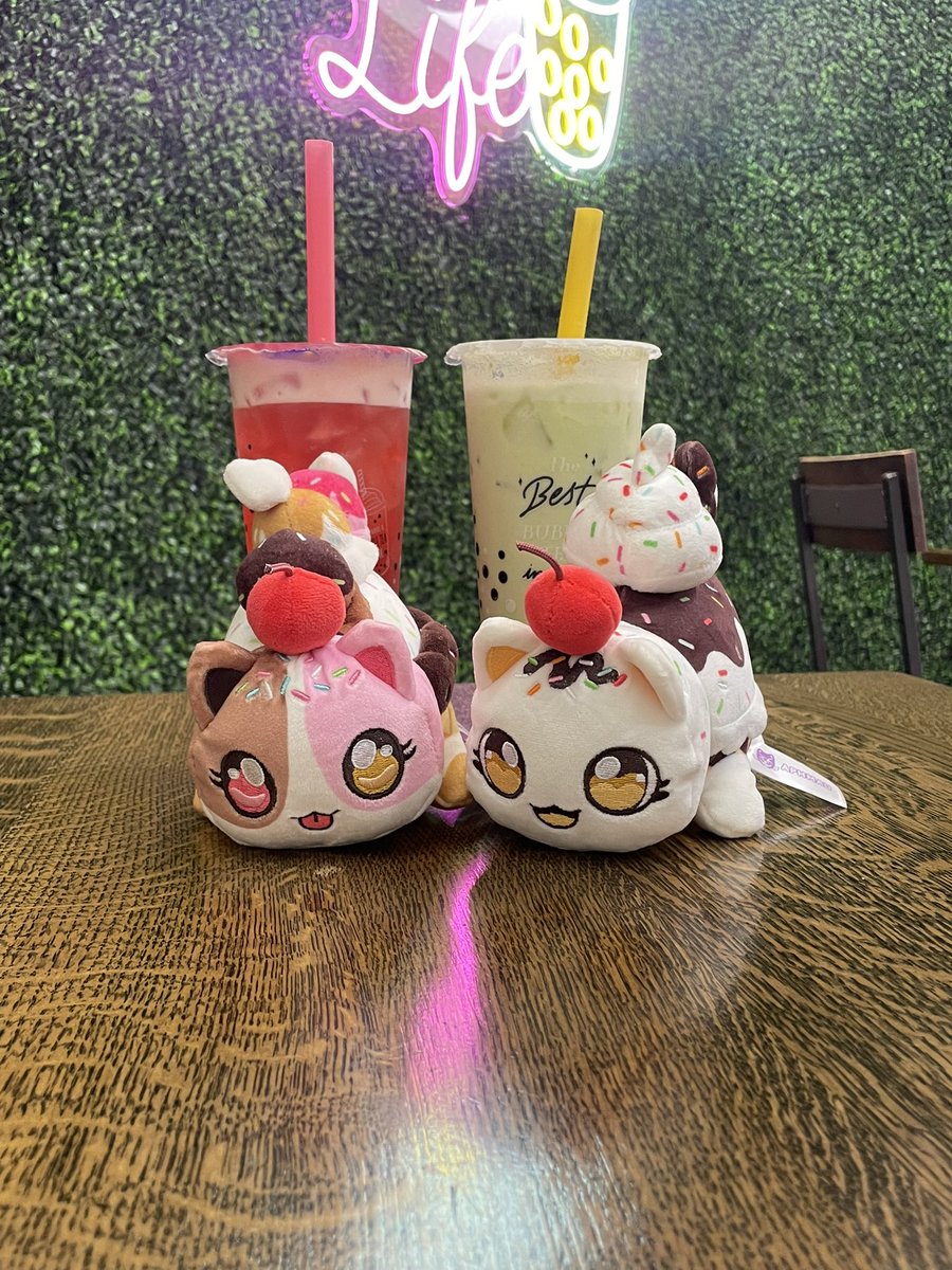 meemeow news tweet media