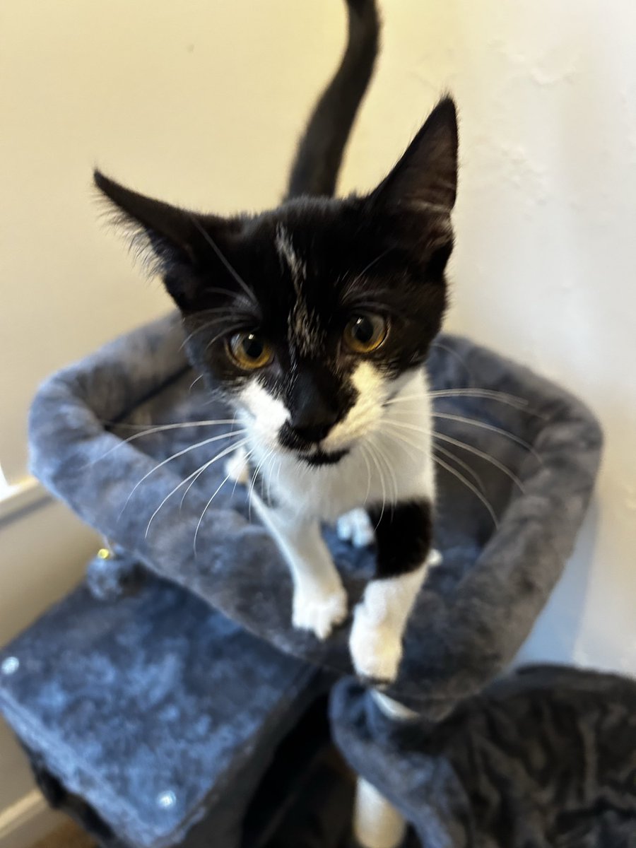 DPhil1981's tweet image. Welcome to your new home Derek lol