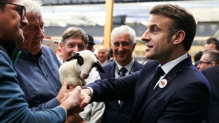 🇫🇷 BOURDEAU News 🇫🇷 tweet media
