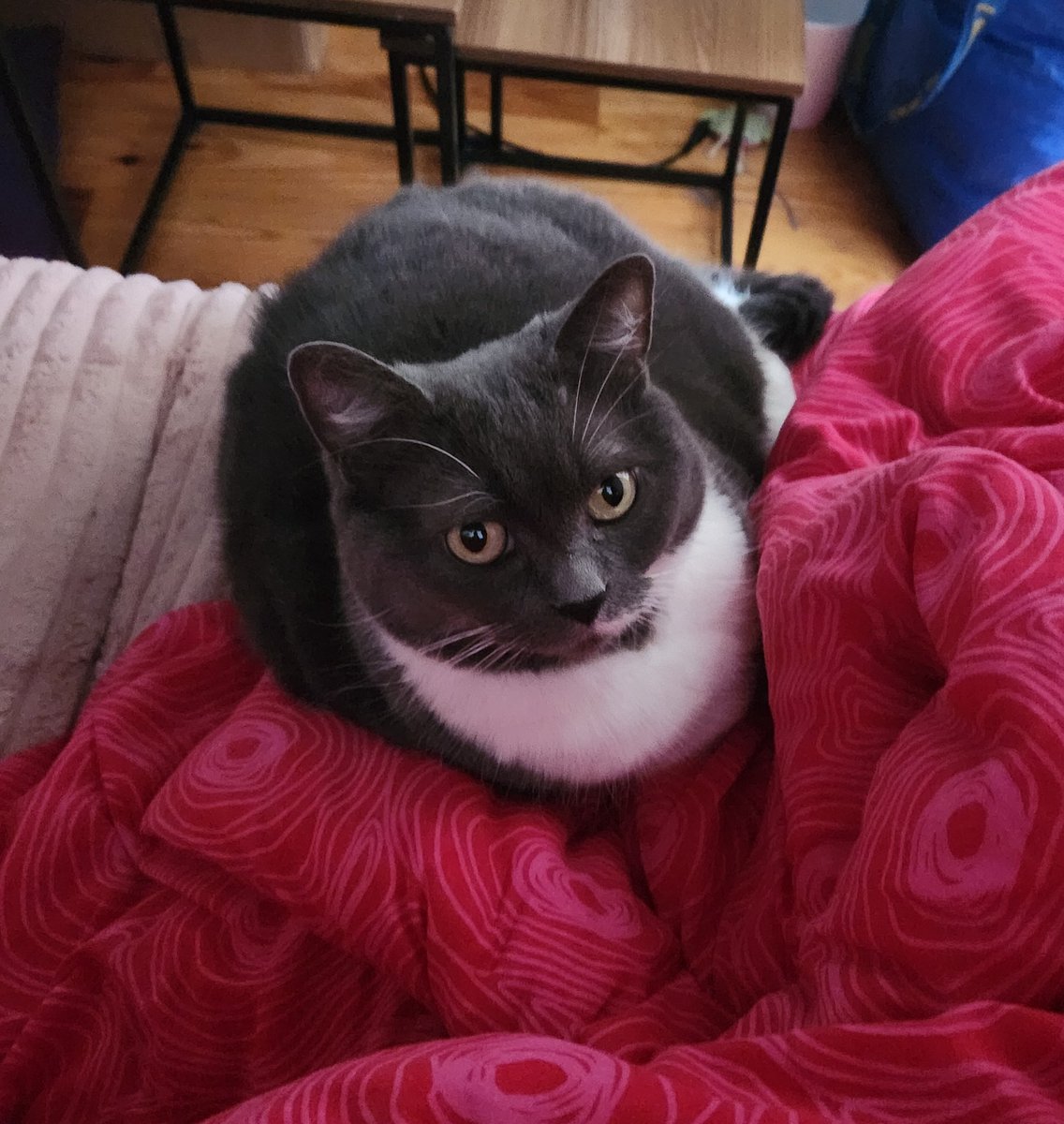 On se voit samedi pims c'est trop bien