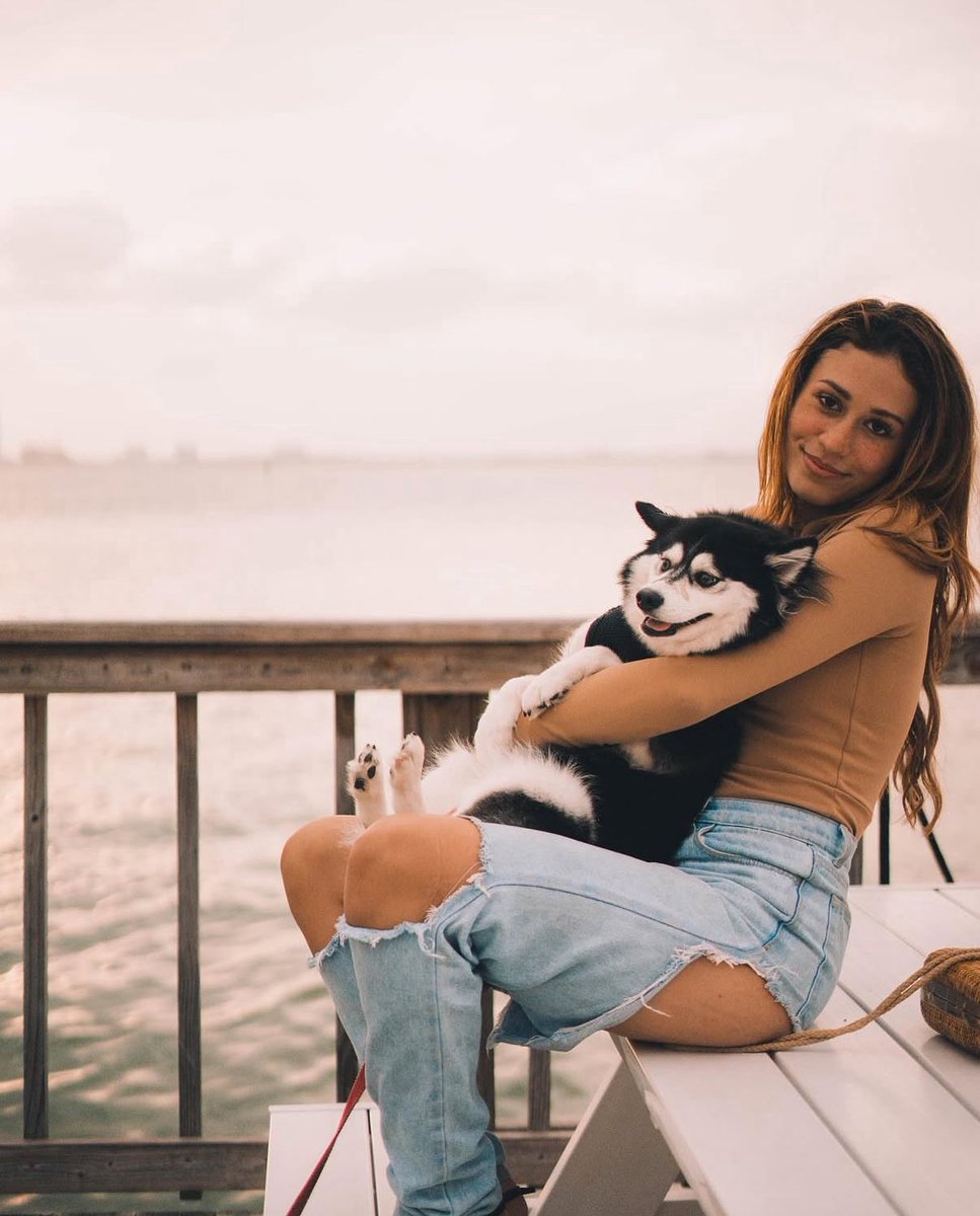 Max Anderson tweet media