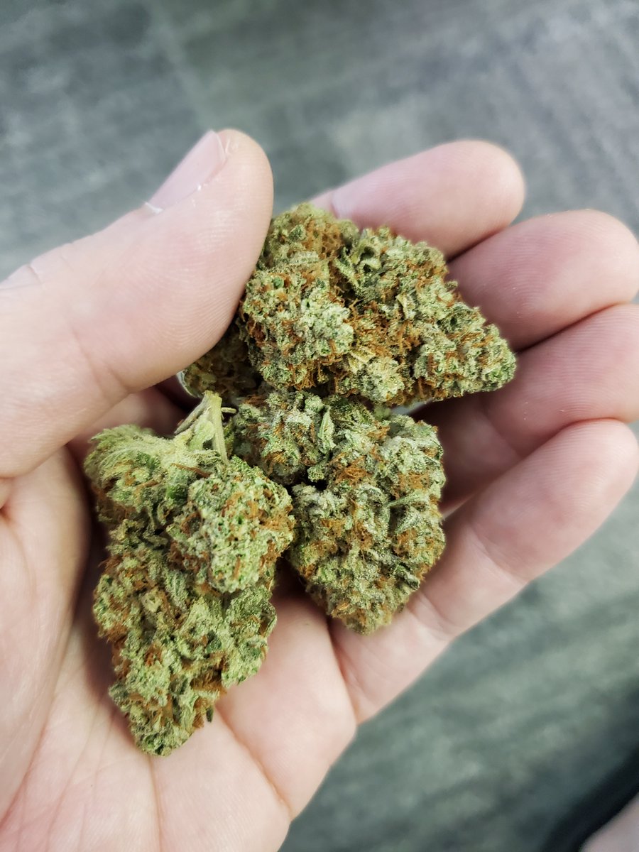 Herb Approach tweet media