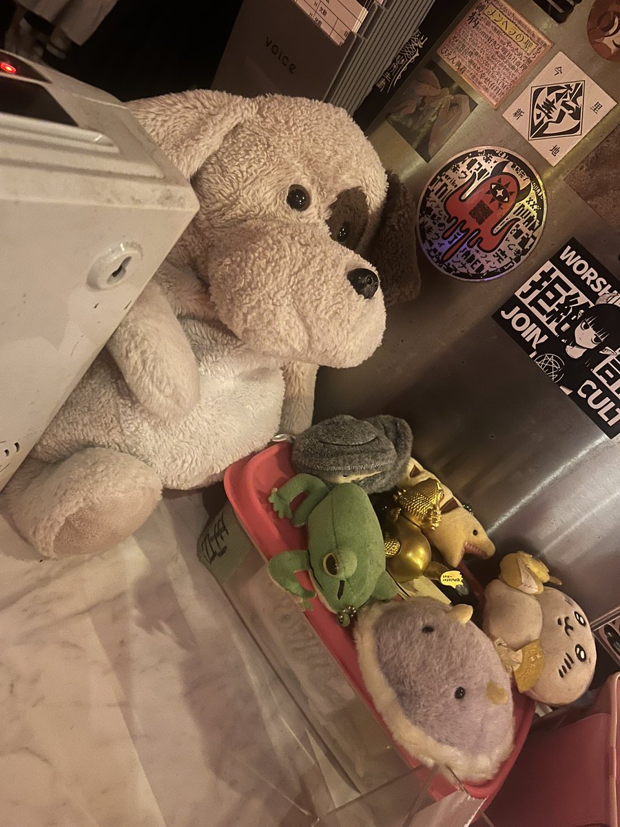 🤘ᵔᴥᵔ 👍) ▶︎ @kairakuten_xoxo