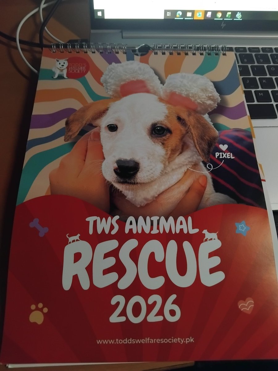 ClaphamKris's tweet photo. @tws_pk2 calendar arrived 😍

Thank you and a merry Christmas and hope for a positive 2026 https://t.co/gf0C9kBmHi