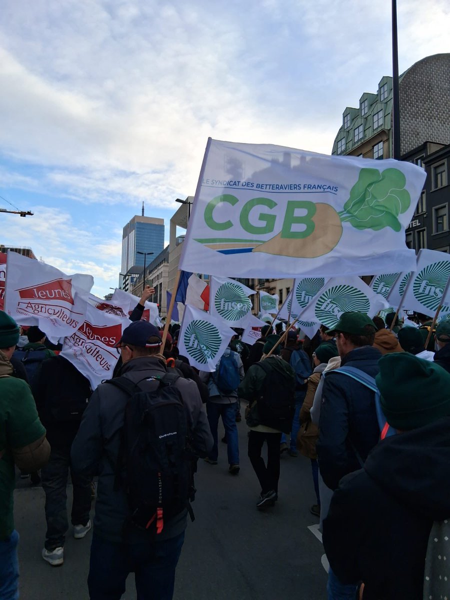 SanderFranck's tweet image. Tous à Bruxelles aujourd’hui pour défendre l’avenir de l’agriculture 🇫🇷 avec @FNSEA @COPACOGECA @CGB_FR 
❌ Non au Mercosur 
❌ Non au MACF (taxes engrais)
❌ Non aux propositions de la nouvelle PAC