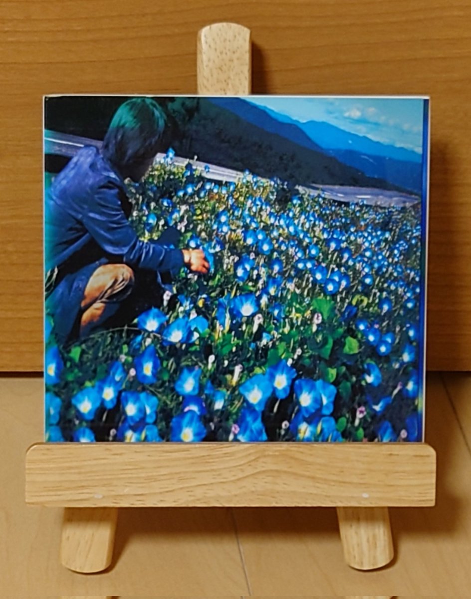 きょうの1枚 】 レミオロメン「朝顔」 3ピースロックバンドである