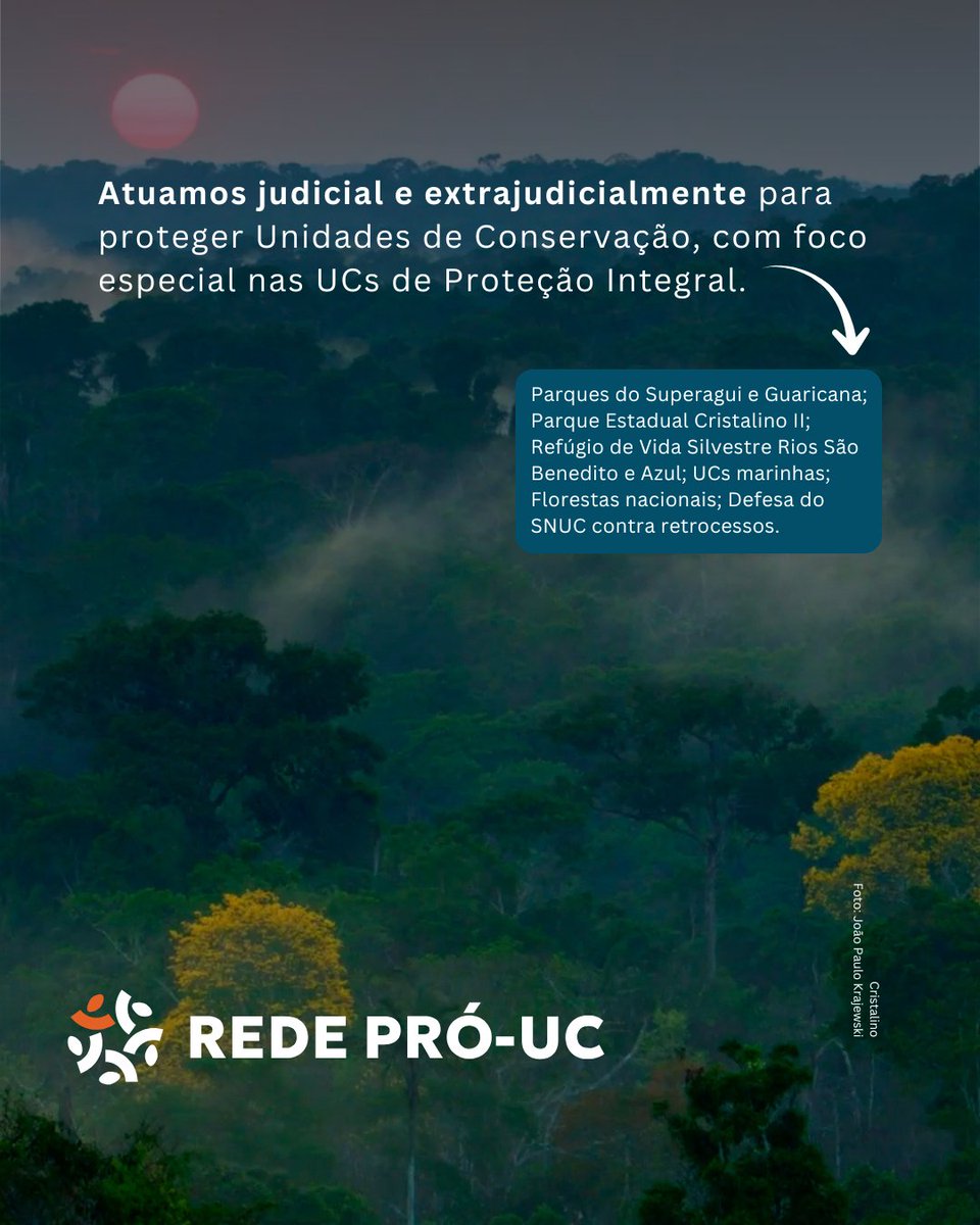 Rede Pró-UC tweet media