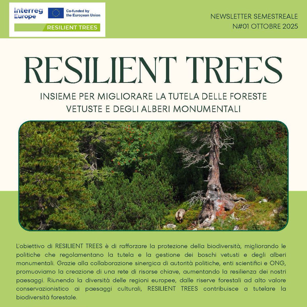 regionepiemonte's tweet photo. Iscriviti alla newsletter di Resilient Trees 🌳per la tutela di foreste secolari e degli alberi monumentali!👉 Registrati e iscriviti subito alla newsletter https://t.co/mJgjCViX5K
#interregpiemonte #forestepiemonte #parchi #foreste #biodiversità #Interreg https://t.co/HFo2wq7aI1