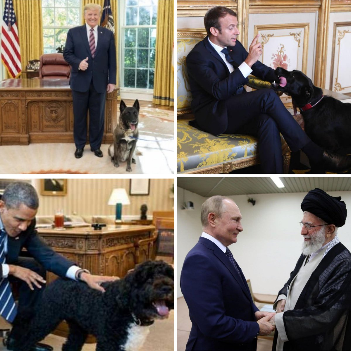 رئیس جمهور های مختلف، کنار سگ هاشون: