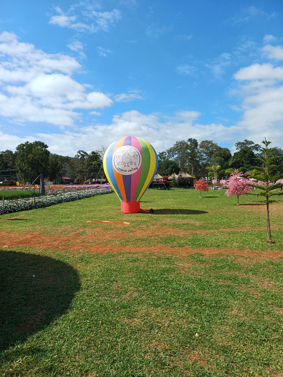 เกาะแกะ เขาใหญ่🪻🪻🪻🌸🌸🌸🐑🐑🐑🐑 กำลังสวยเลย￼🐝🐝🐝🦋🦋🦋🌺🌺🌺🌺📢📢📣📣