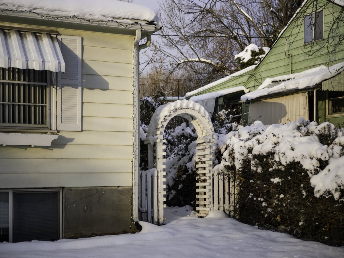 OliverWDahl's tweet image. I took a neighborhood walk in the snow