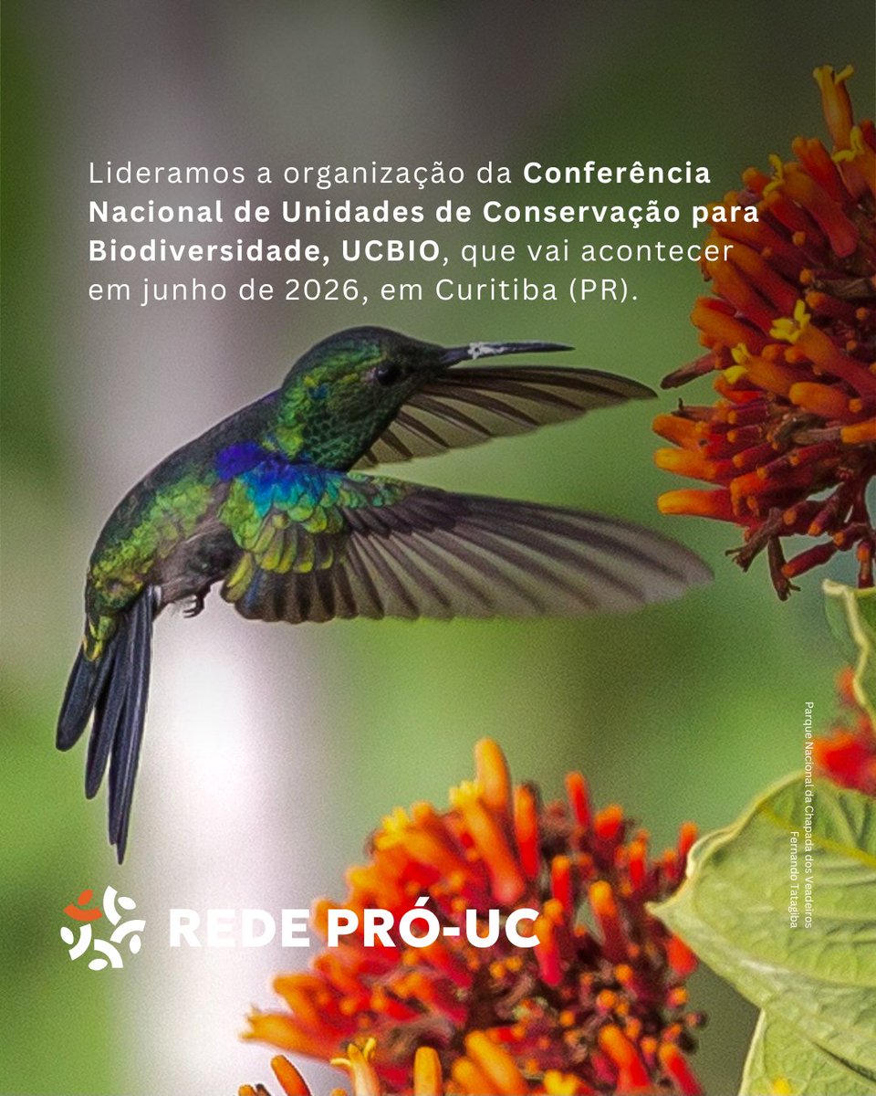 Rede Pró-UC tweet media