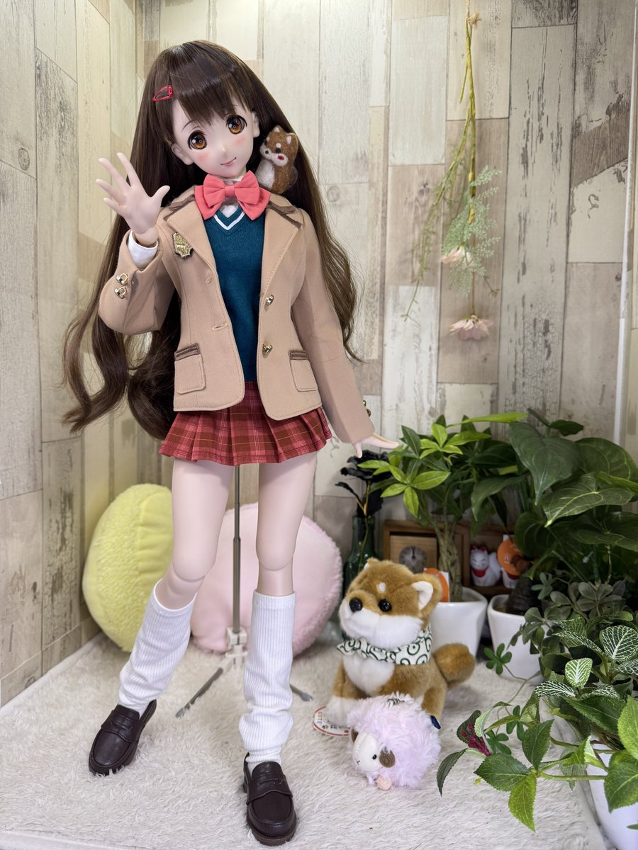 くまきち (@bearbeartyan) / Posts / X