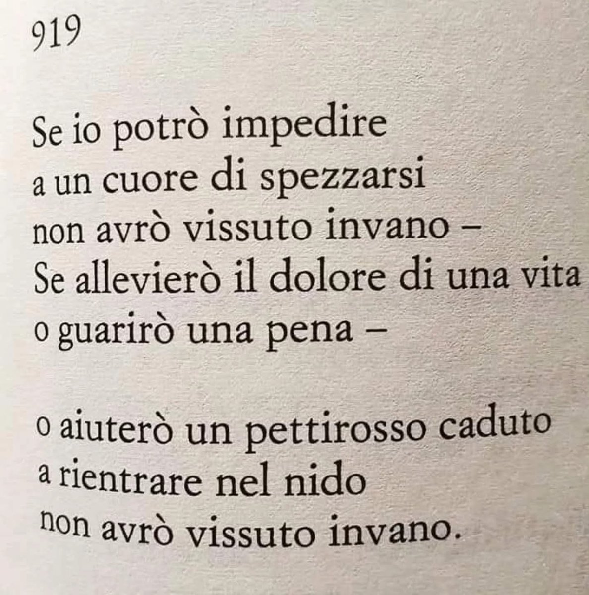 Semplicemente Emily Dickinson ❤