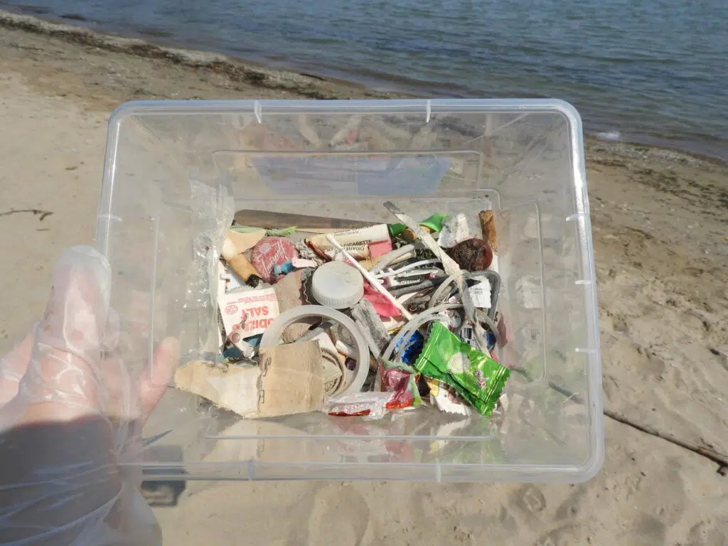 Waste & Recycling Magazine tweet media