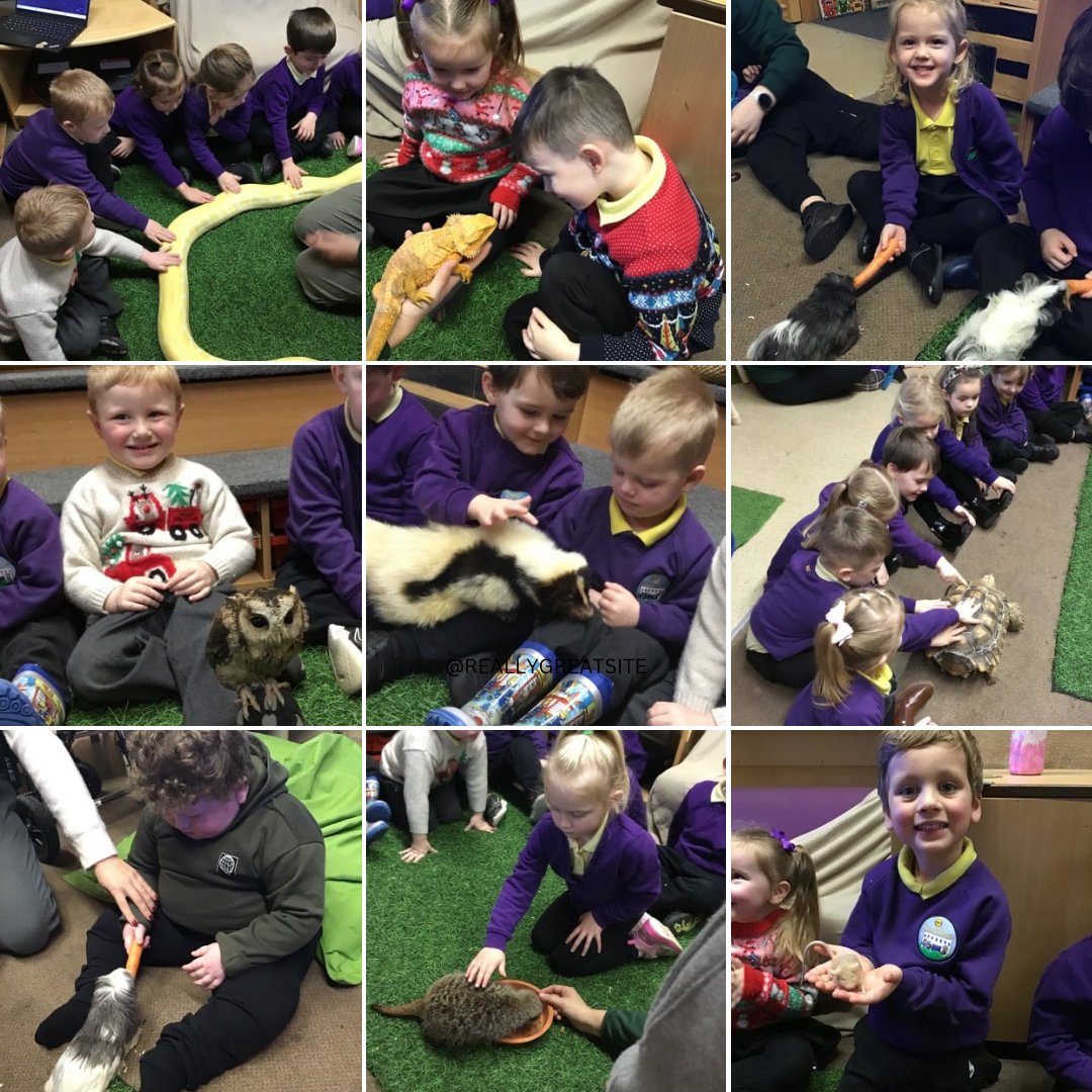 We loved our visit from Animals Interactive this week - lots of gentle hands and bravery ❤️ <a href="/nantcelynschool/">Nant Celyn Primary</a>