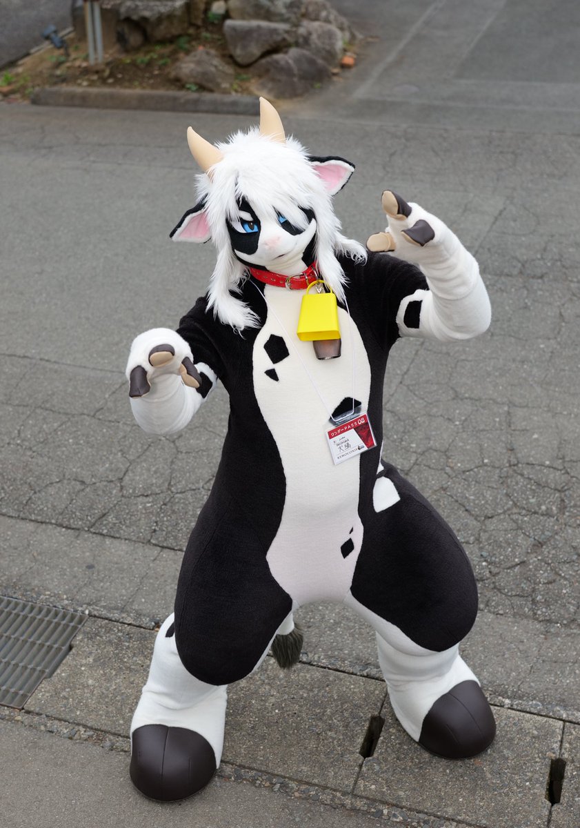 inusimahiro11's tweet image. 野生の牛が現れた！！
さあ！どうする！？
#FursuitFriday