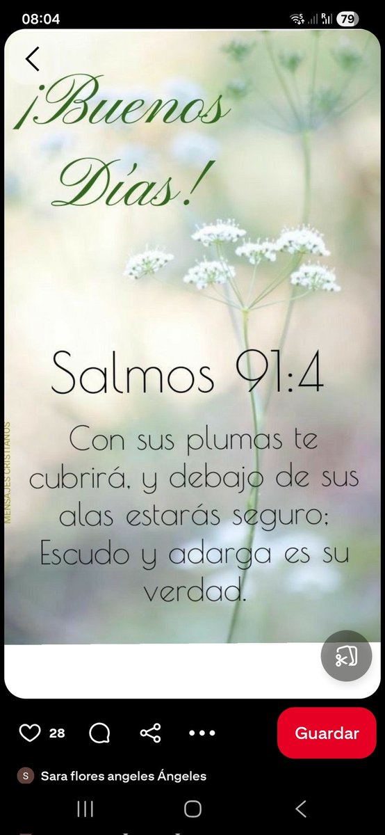 lukmat78's tweet photo. @oscarrodril01 @Mariaco03038824 @ElizondoRoque @gener_usuga @_Gelver_ @2Dinu83028 @DiegoVelezGar @malovi13 @MalaFama1981 @NidiaArguello2 @Pecoralt https://t.co/bm4xBvwXvi