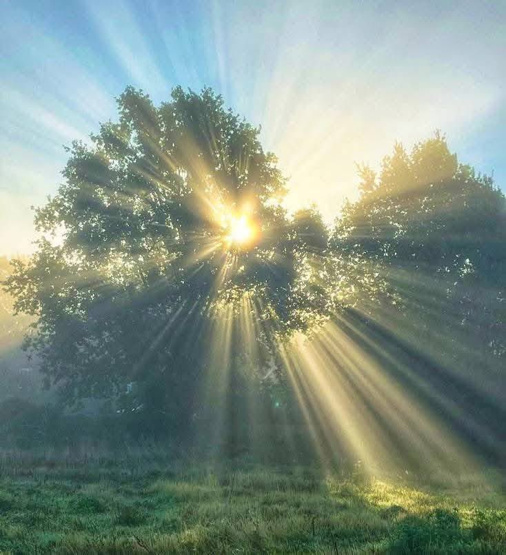 ﴿أَلَمْ تَرَ إِلَىٰ رَبِّكَ كَيْفَ مَدَّ الظِّلَّ وَلَوْ شَاءَ لَجَعَلَهُ سَاكِنًا ثُمَّ جَعَلْنَا الشَّمْسَ عَلَيْهِ دَلِيلًا﴾.