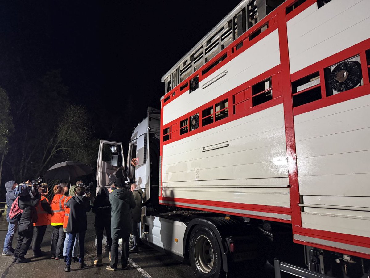 bretagnegouv's tweet image. #SantéAnimale | 🐮 Vigilance et responsabilité collective pour prévenir la progression de la dermatose nodulaire contagieuse (DNC).

📍 Aujourd'hui en #IlleEtVilaine : 5 opérations de contrôle des transports de bovins 

✅ Objectif : respect des mesures sanitaires de prévention