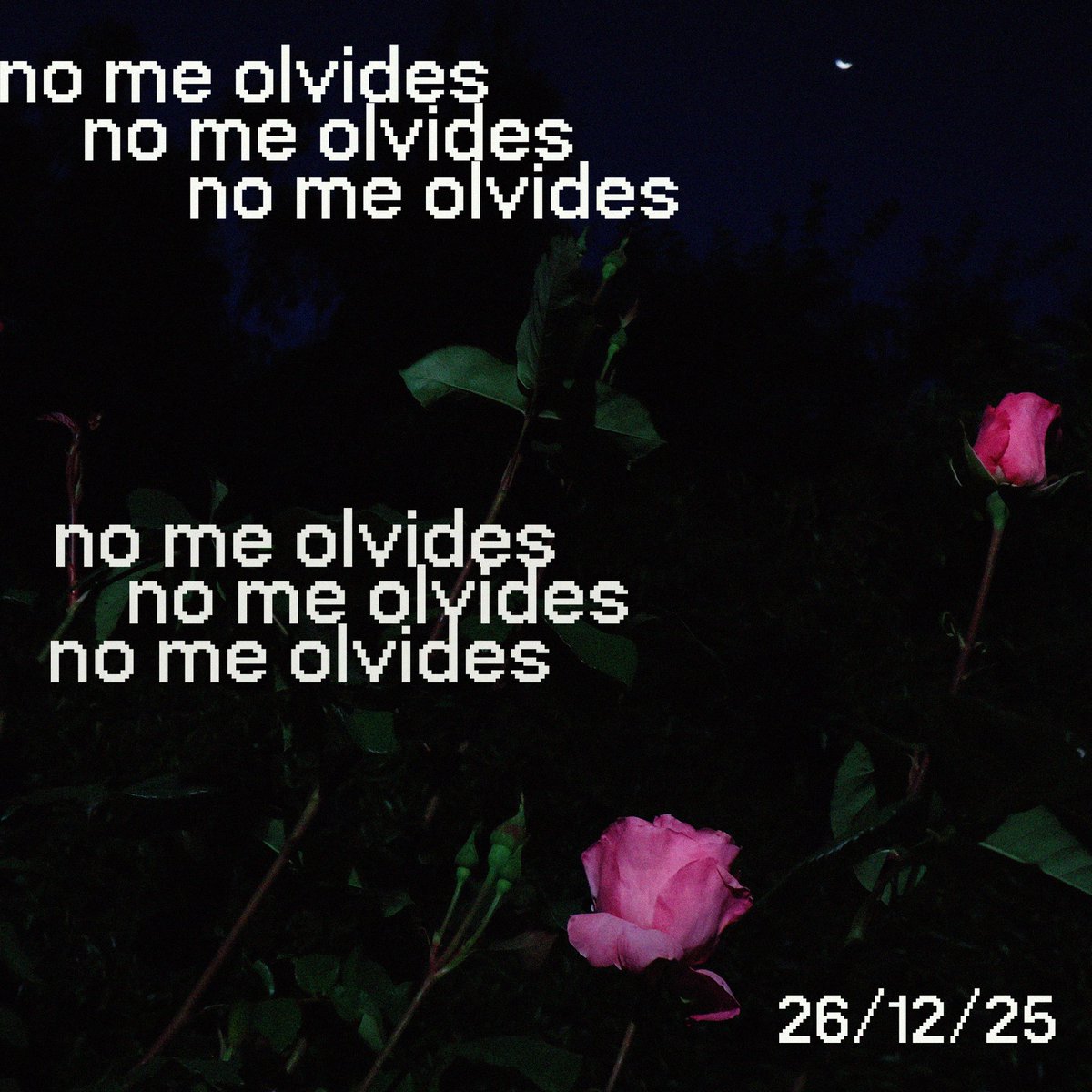 lamejorwea's tweet photo. voy a sacar el primer single de mi proyecto solista Mansie⭐️

'no me olvides' disponible viernes 26/12/25 en todas las plataformas🌹 https://t.co/xAMR01XdWV