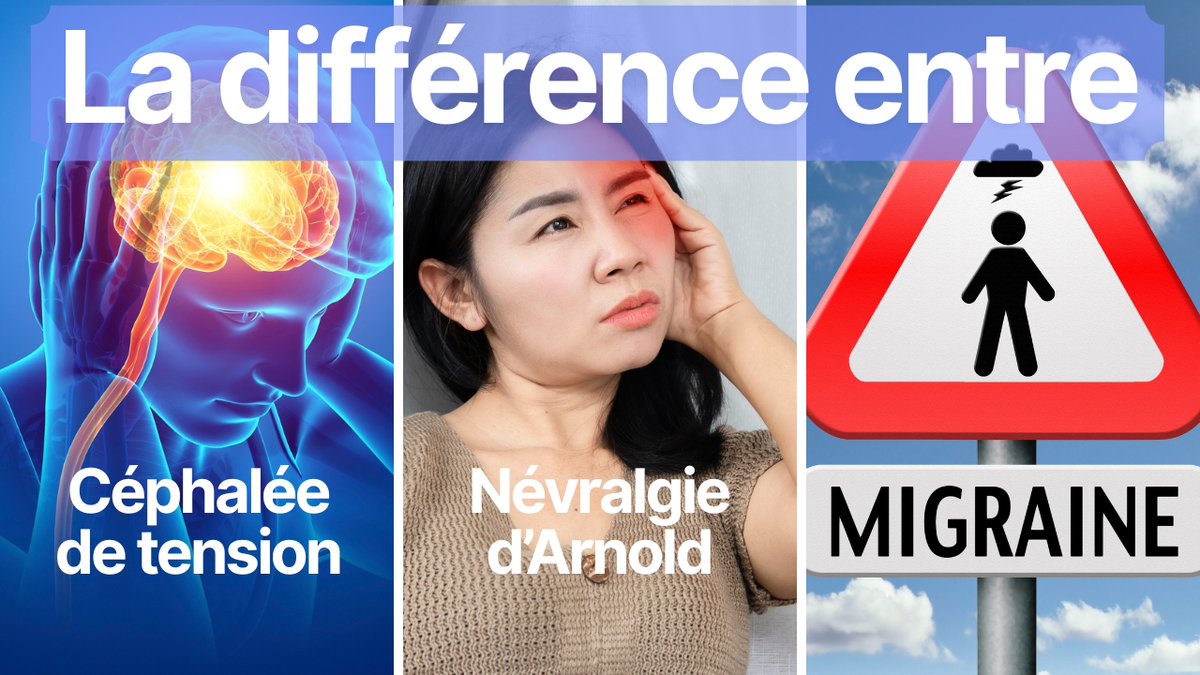 Paris_Chiro16's tweet photo. La différence entre la migraine, la céphalée de tension et la névralgie d'Arnold ? Comment les différencier et que faire ?

#migraine #cephaleedetension #nevralgiedarnold

https://t.co/6WFsFAuqRb https://t.co/qvSLbg5AcO