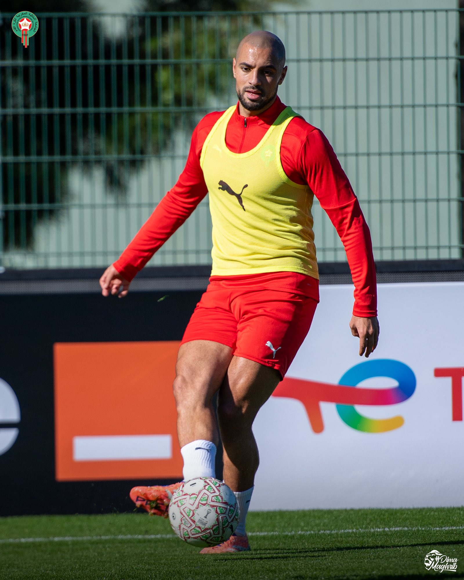 G8ddN8MWcAAAARj?format=jpg&name=large