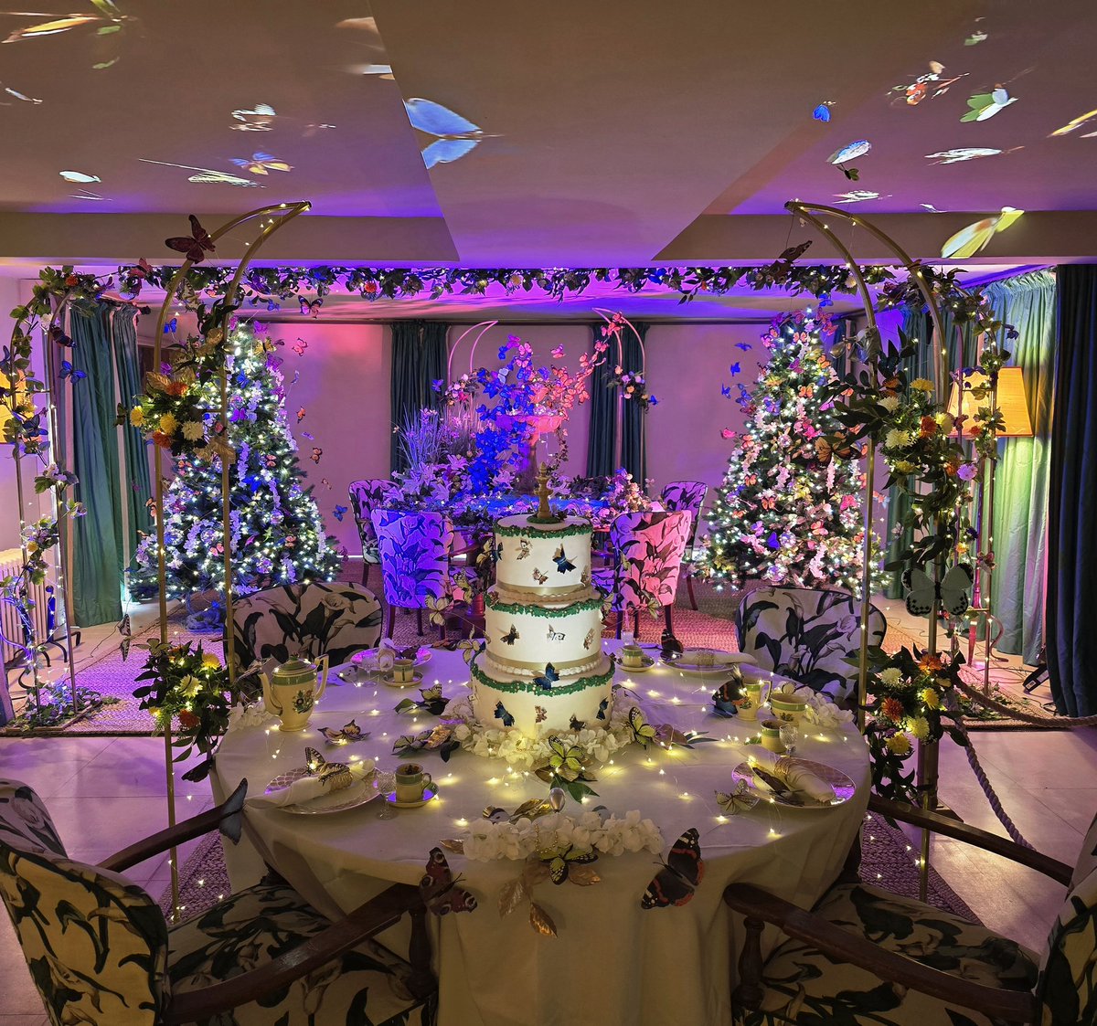 Katherine Carter tweet media