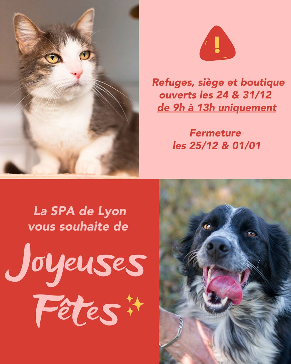 SPA de Lyon tweet media