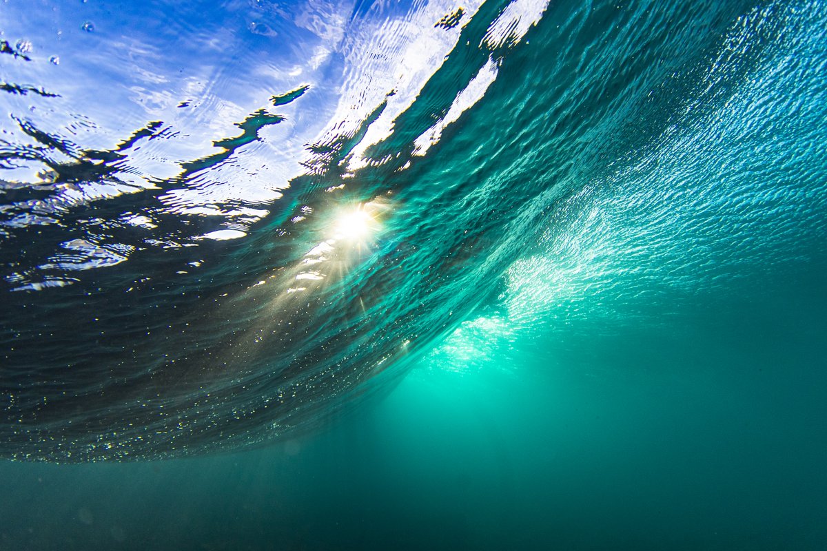 NOCnews's tweet photo. 📣 One step closer to ratification! 🌊#BBNJ

It’s fantastic to see the BBNJ Bill continue to progress through parliament, with discussions at the @UKHouseofLords' Grand Committee earlier this week, and NOC's role of excellence and leadership within ocean science highlighted. 🌊🚢 https://t.co/yNOBMP5ztj