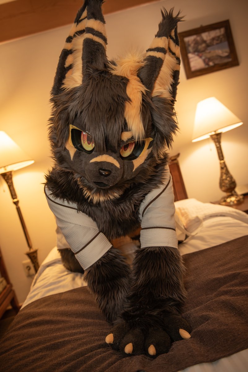 #FursuitFriday   
거기서 뭐해?