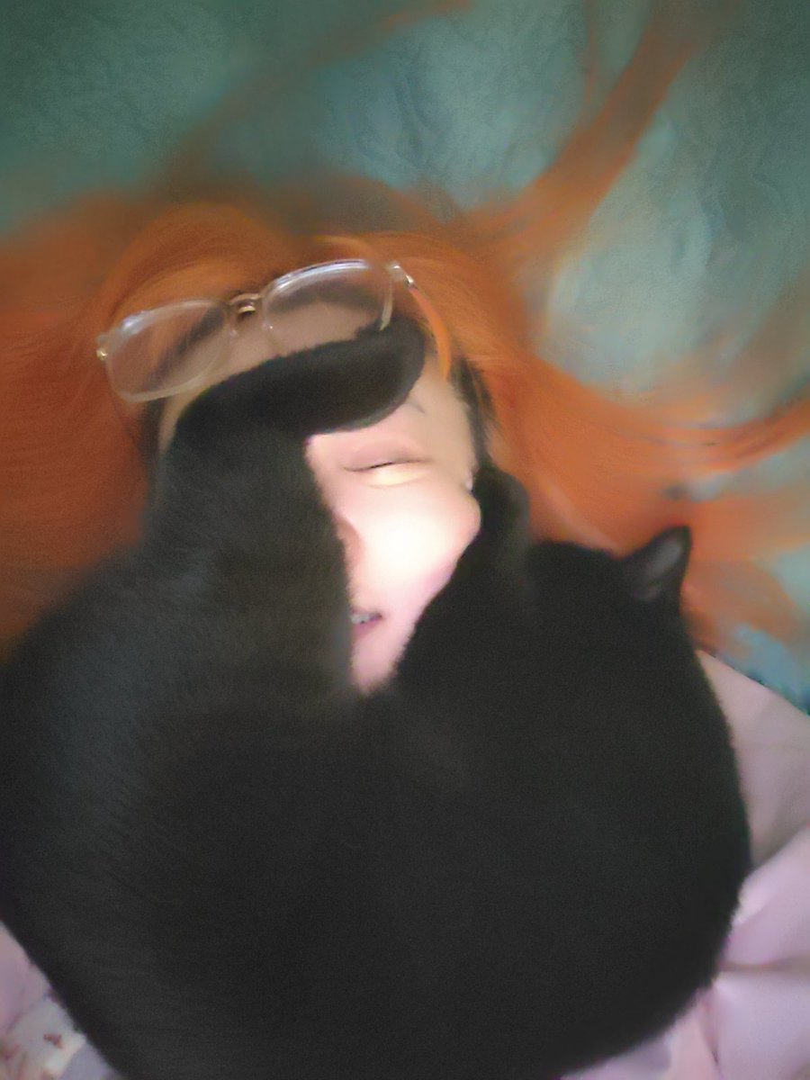 蛋挞女士 (@umigamitayi) on Twitter photo 