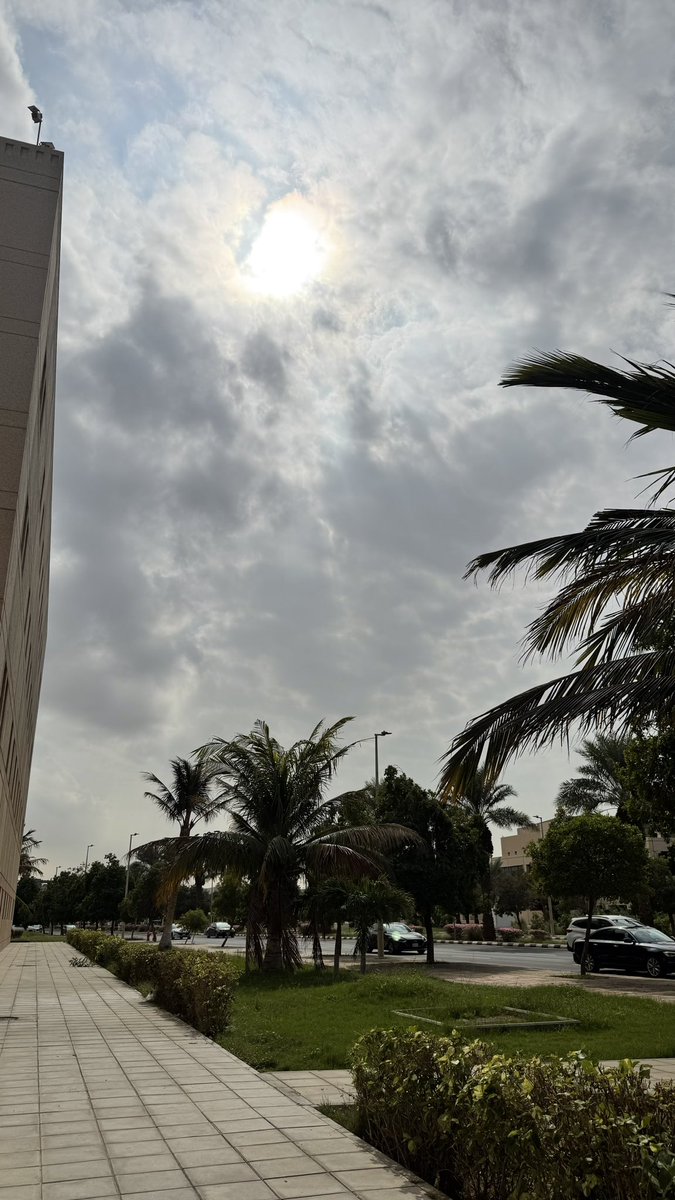 ج tweet media