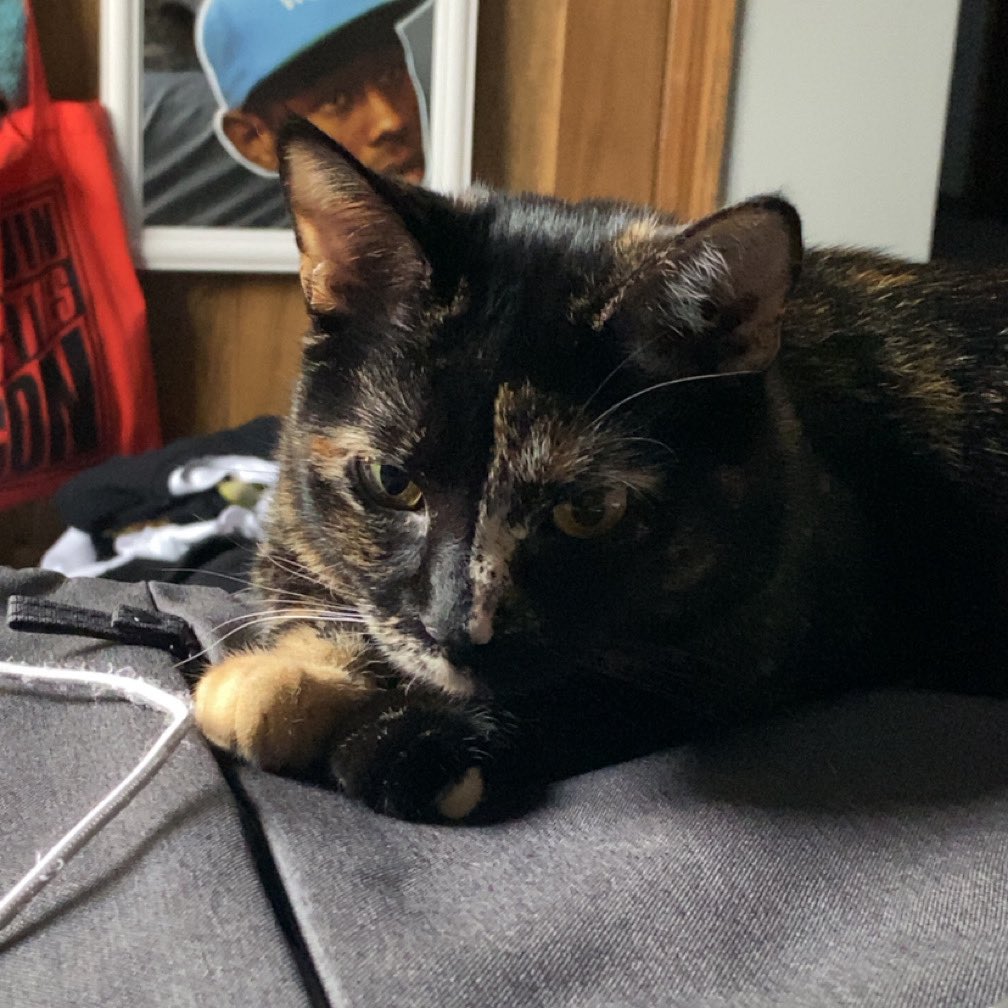 🦷 NOW SPIT! tweet media