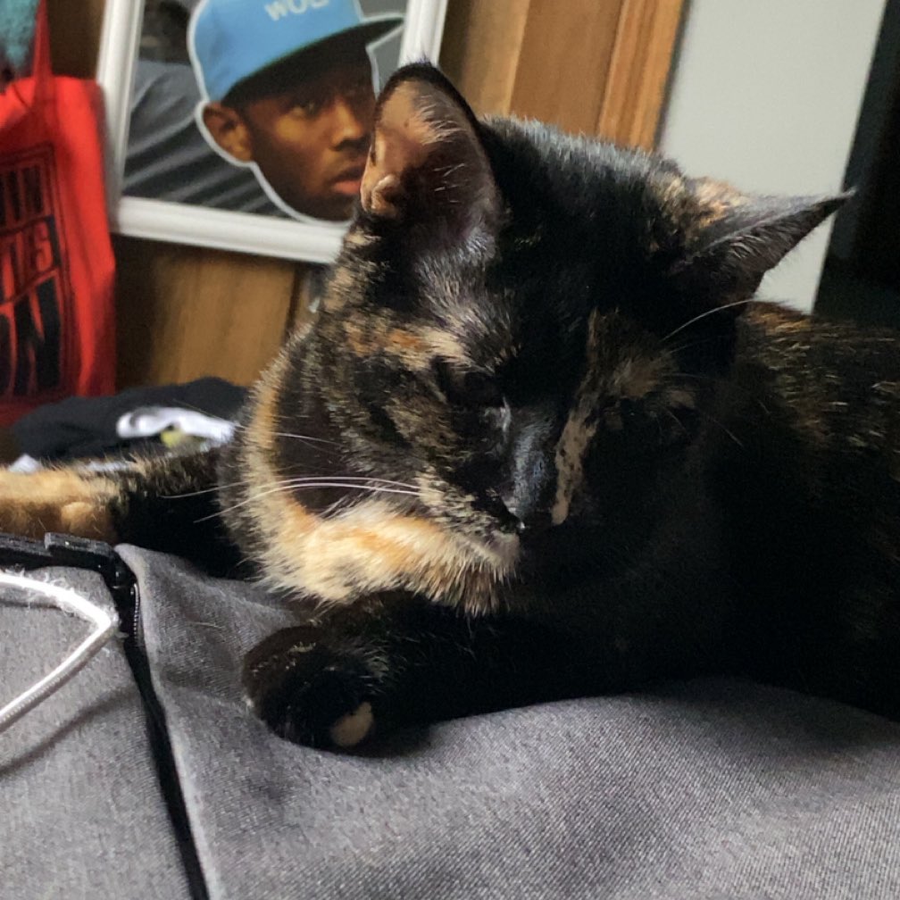 🦷 NOW SPIT! tweet media