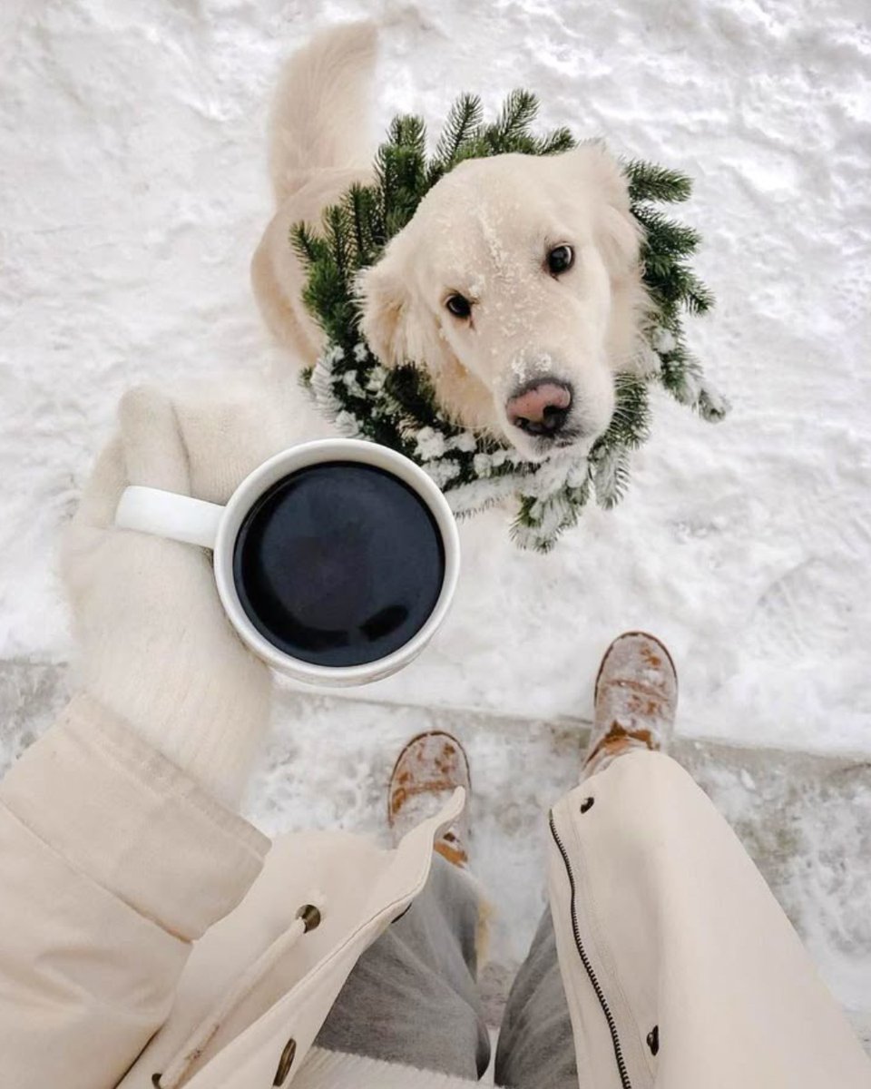 MuddStyle's tweet image. Still looking for santa’s hat