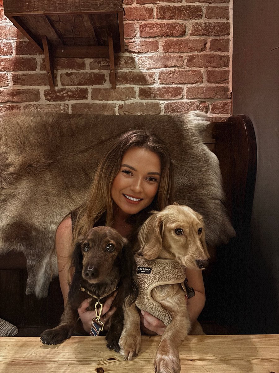 What’s better than one long haired dachshund? 

Two. Obviously.