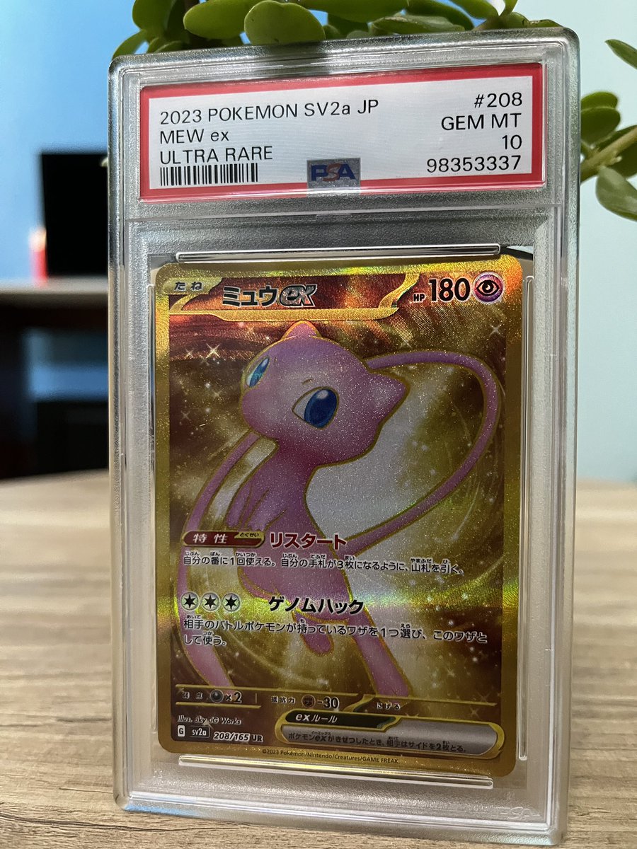 $SH₳IZ₳🐍🎾 tweet media