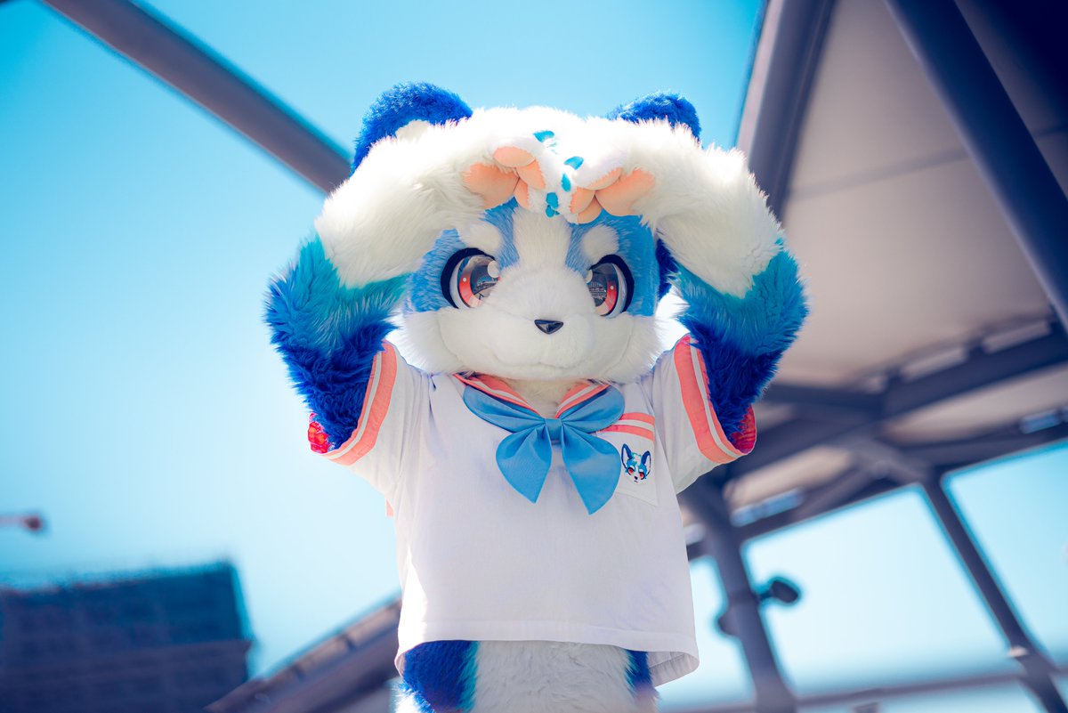 琉海 ルカ ⏩ tweet media