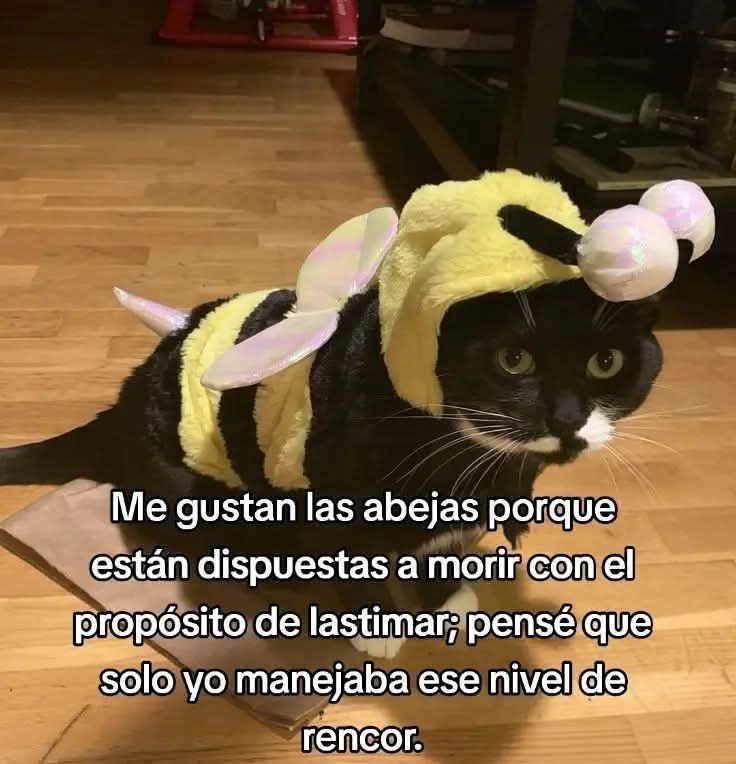 M O T I V A N D O T E (@m0tivand0te) on Twitter photo 