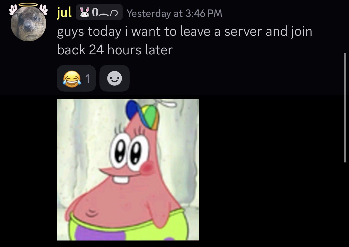 ️julia tweet media
