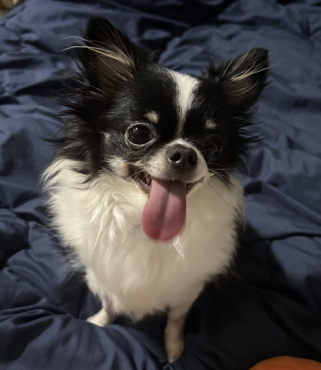 ろべさま確認ページ♡ エージェントを新規登録（追加）する – Zendesk partner ヘルプ