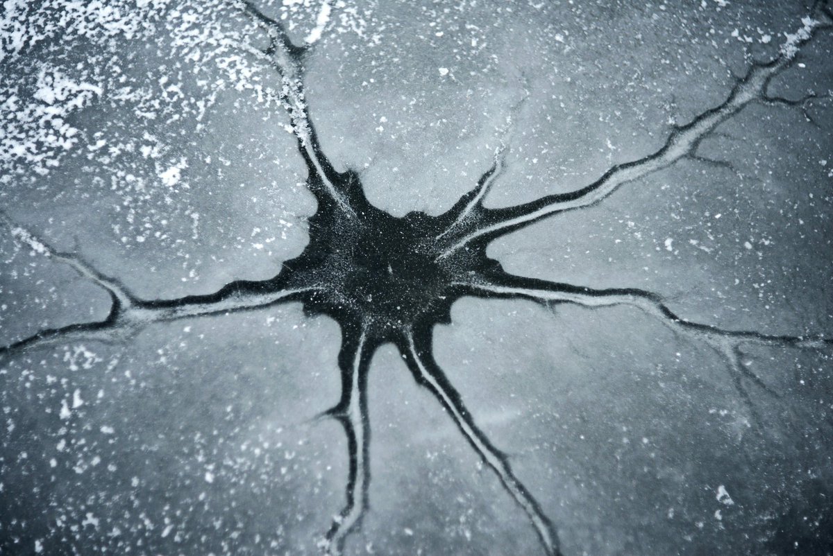 enfocaTSS tweet media