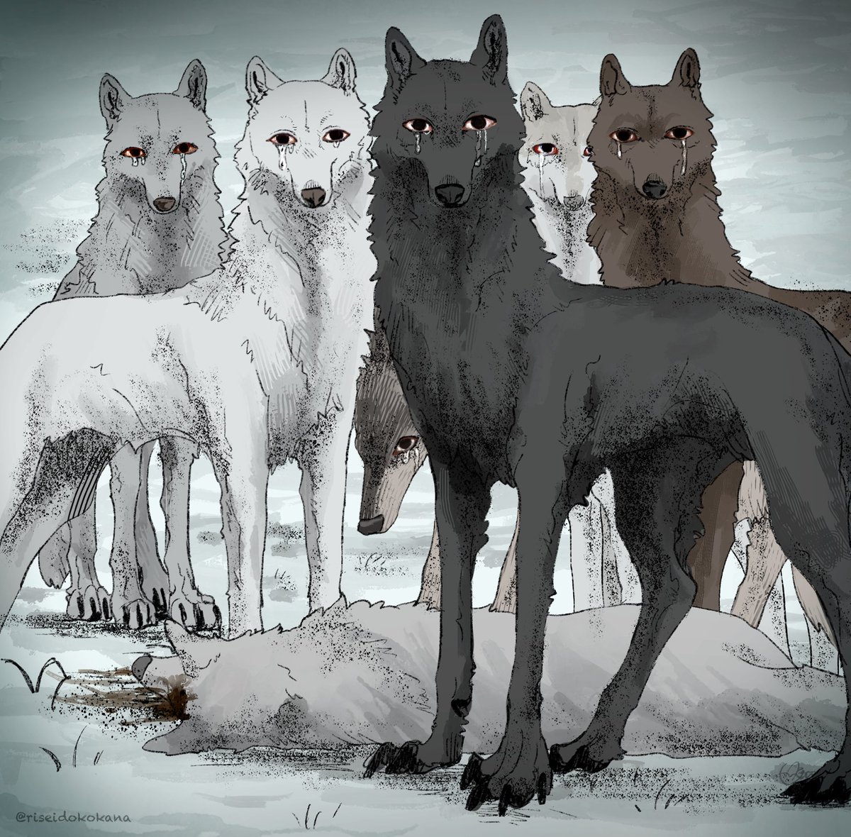 ツナクマ (@kuma_tuna) / Posts / X