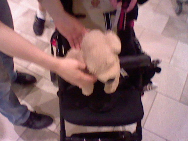 bboing666 tweet media