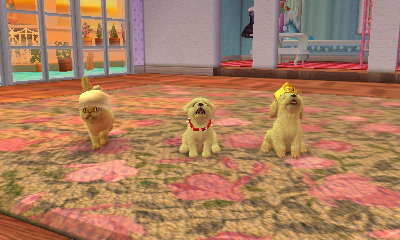 bboing666 tweet media